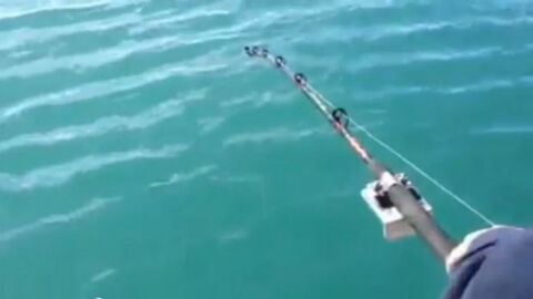 Angler gelingt außergewöhnlicher Fang