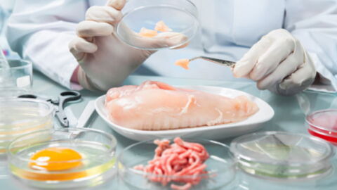 Verbraucheranwalt warnt: Diese Lebensmittel sollte man niemals roh verzehren