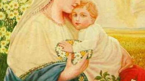 17 überraschende Bilder, die man euch in der Schule nicht gezeigt hat!