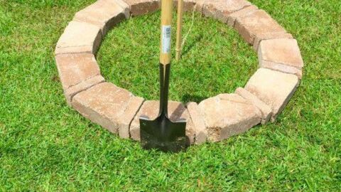 Garten: Gemütliches Sitzrund für wenig Geld