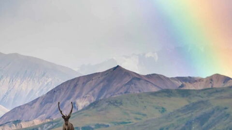 Städte werben mit Geldprämien um neue Bewohner