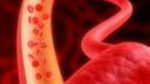 Diabetes mellitus: Typ 1, Typ 2, Symptome, Ernährung, Werte, Ursachen, Diagnose und Behandlung