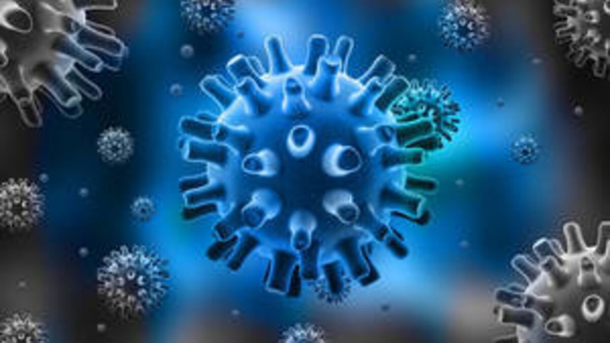 Herpes simplex virus ursachen symptome therapie und behandlung um