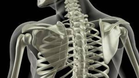 Osteoporose: Symptome, Therapie, Behandlung, Ernährung, Ursachen und Medikamente