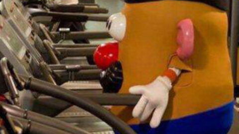 Verrückteste Bilder aller Zeiten