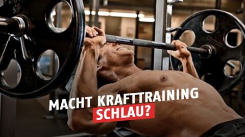 Warum euch Krafttraining schlau macht!