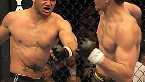 Diese UFC-Kämpfe wollen wir dieses Jahr sehen!