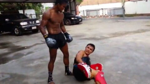 Habt ihr schonmal Tritte wie die von Buakaw Banchamek gesehen?!