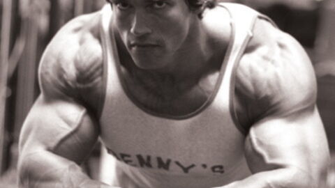 Die Hollywoodstars mit den dicksten Armmuskeln!