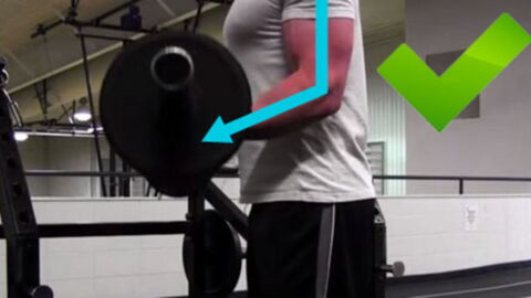 Bizeps: Wertvolle Tipps für stärkere Arme