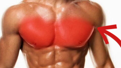 Die 3 besten Übungen für die Brustmuskeln nur mit dem Körpergewicht