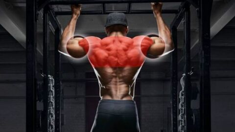 Burpee-Klimmzüge: Die All-Round-Übung für euer Training