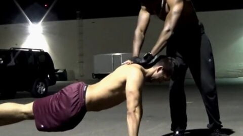 Liegestütz-Übungen für den Aufbau von Muskelmasse