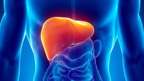 Hepatitis C: Symptome, Übertragung, Impfung, Ansteckung und Therapie