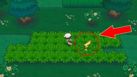 Pokémon Sonne und Mond: Fans haben Lauf-Animationen für alle Pokémon entdeckt