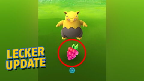 Pokémon GO: Nanabbeeren und Sananabeeren neu im Spiel
