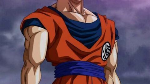 Was wäre, wenn die UFC-Stars Charaktere aus Dragonball Z wären?