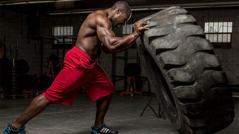 Ein richtiges All-Round-Talent!