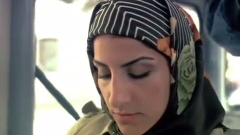 Berlin: Busfahrer schmeißt Rassistin aus dem Bus