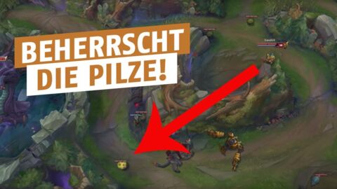 League of Legends: So schießt man Pilze richtig mit Teemo