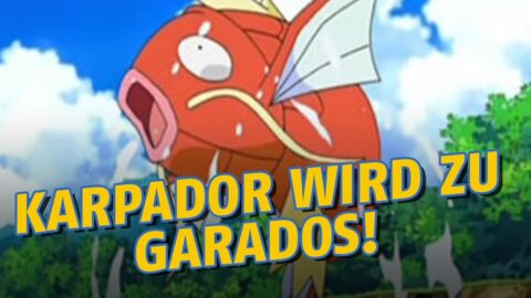 Pokémon GO: Nach wie vielen Kilometern entwickelt sich Karpador zu Garados?