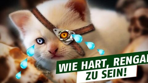 League of Legends: Jüngste Nerfs machen Rengar schwer zu schaffen