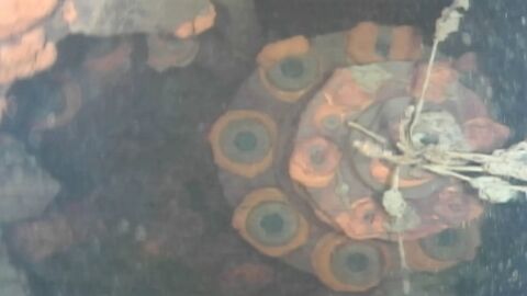 Fukushima: Roboter filmt erstmals Brennelemente