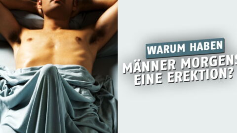 Warum haben Männer morgens einen stehen?