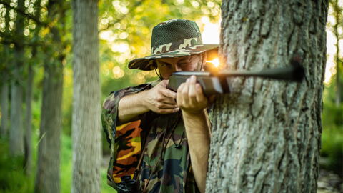 Schwerer Vorwurf: Anstatt Tochter das Studium zu finanzieren, tötet er bedrohtes Tier
