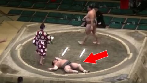 Großartiger K. o. bei einem… Sumo-Kampf!