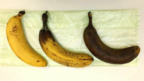 Tipps und Tricks - Episode 5: Wie lagert man Bananen, ohne dass die Schale schwarz wird?