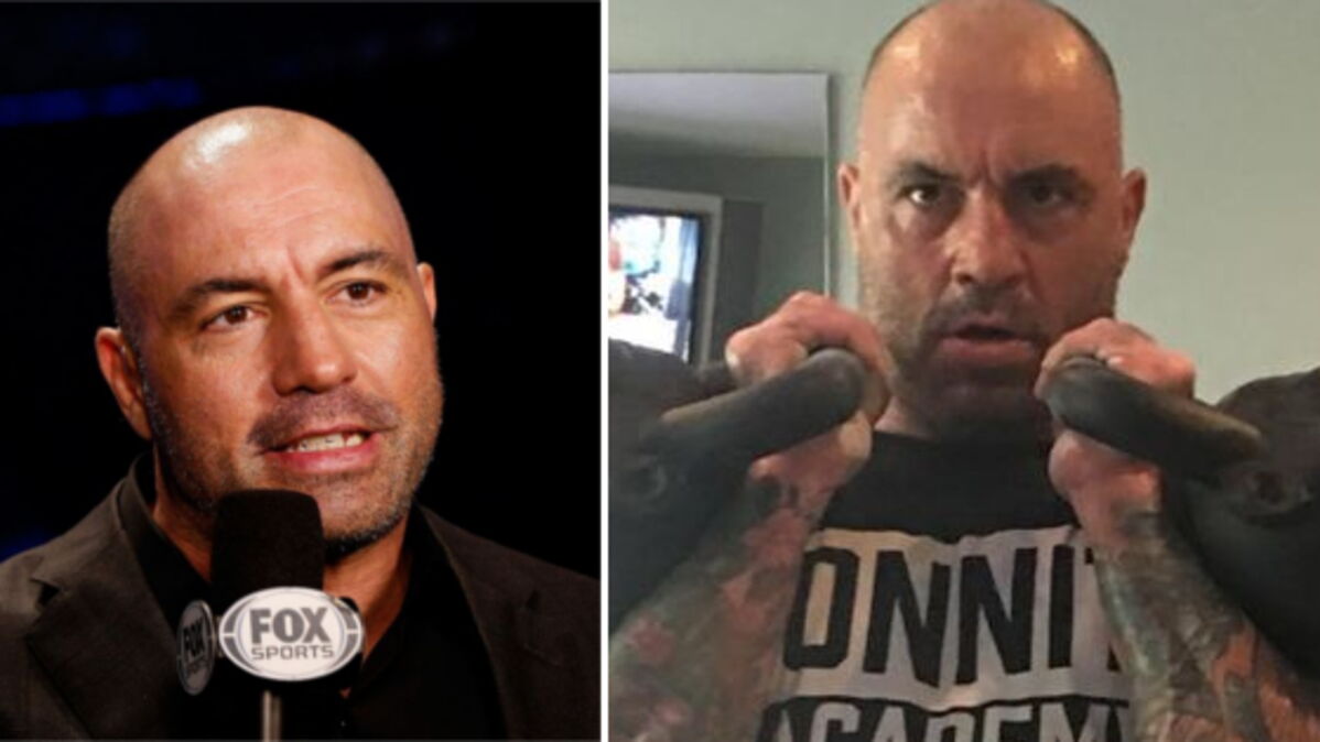 Joe Rogan Das Training vom UFCStarkommentator