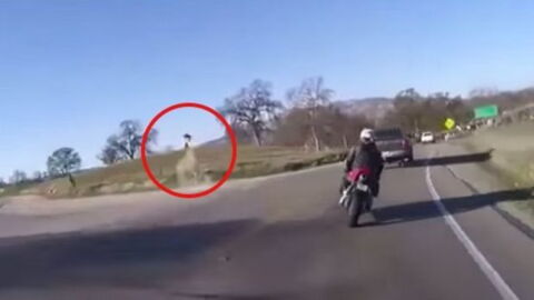 Er filmt den spektakulären Sturz seines Biker-Freundes