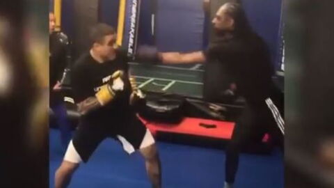 Boxen: Rapper Snoop Dogg steigt in den Ring