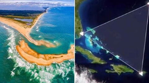 Shelly Island: Neue Insel an US-Küste aufgetaucht