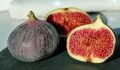 Feigen sind meist nicht vegan: Dieses tote Tier steckt im Inneren vieler dieser Früchte!