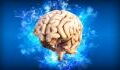 Alterung des Gehirns: 5 Gründe für einen früheren Abbau