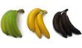 Grün, gelb oder schwarz: Welche Banane ist am gesündesten?