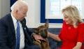Ärger wegen Vierbeiner: Hund von US-Präsident Joe Biden macht Probleme
