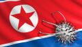 Neben Covid-19: Nordkorea meldet Ausbruch einer neuen, "akuten" Epidemie