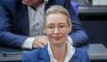 Wahlkampf-Absage: AfD-Chefin Alice Weidel auf Mallorca gesichtet