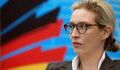 AfD verliert in Umfragen an Boden: Beliebtheitswerte sinken