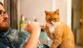 Mit dieser Geste sagt dir deine Katze 'Hallo'