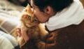 Gesundheit: Ärzt:innen warnen davor, Katzen einen Kuss zu geben