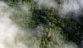 Brände im Amazonas: Diese schrecklichen Bilder zeigen, wie viel Kohlenmonoxid in die Atmosphäre entweicht