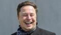 Verrückter Rekord: Elon Musk macht an einem Tag 36 Milliarden Dollar Gewinn