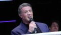 "Rocky": Sylvester Stallone wäre bei den Dreharbeiten fast ums Leben gekommen
