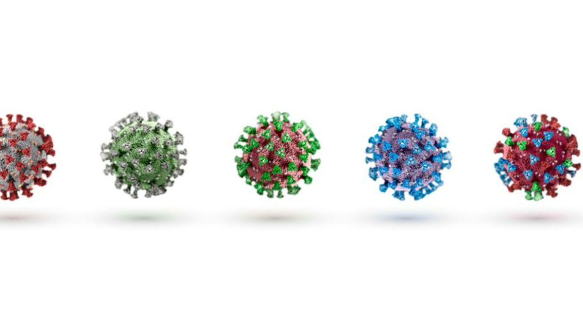Neues Virus entdeckt Könnte uns bald erneut eine Pandemie erreichen?