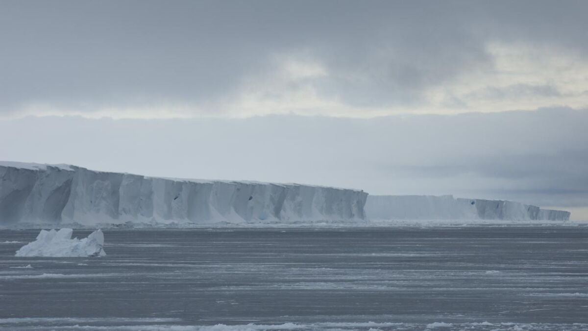 Das Große Krabbeln: 500 Meter unter dem arktischen Eis tobt das Leben
