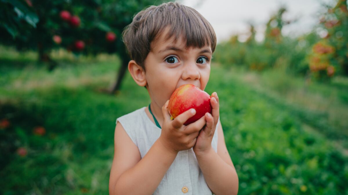 Apfel richtig von Pestiziden reinigen: Gesunder Genuss ohne Reue – so ...